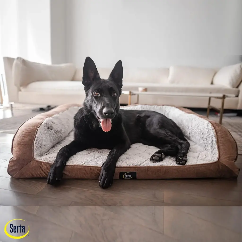 Cama de perro mediana