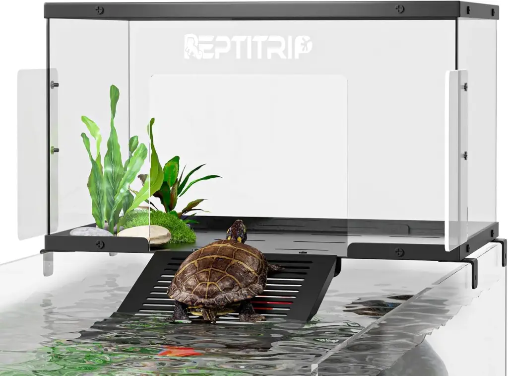 Plataforma y muelle de tortuga