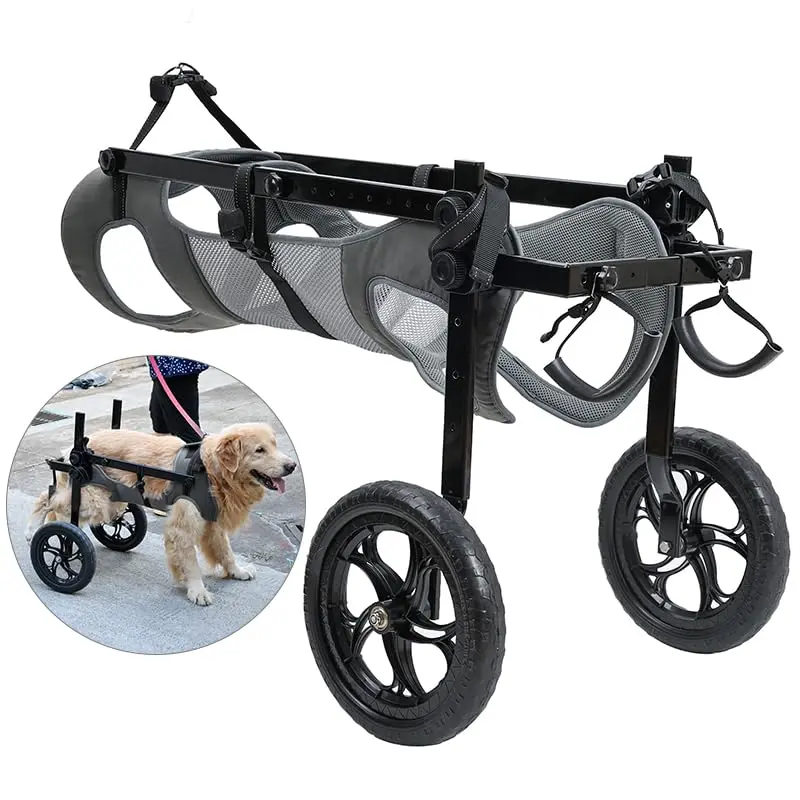 Silla de ruedas para perro grande