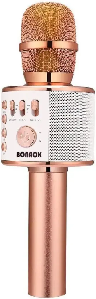 Microfono de karaoke