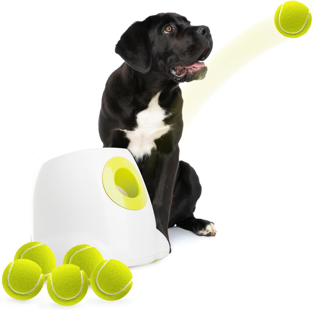 Lanzador de pelotas AFP Perro grande