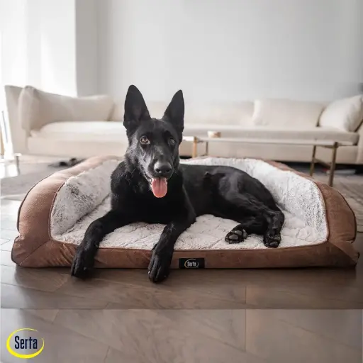 Cama de perro mediana