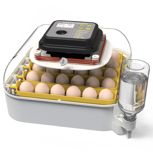 Incubadora de 30 huevos Maticoopx