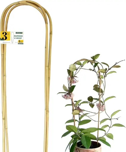 Set de 3 enrejados de bambu