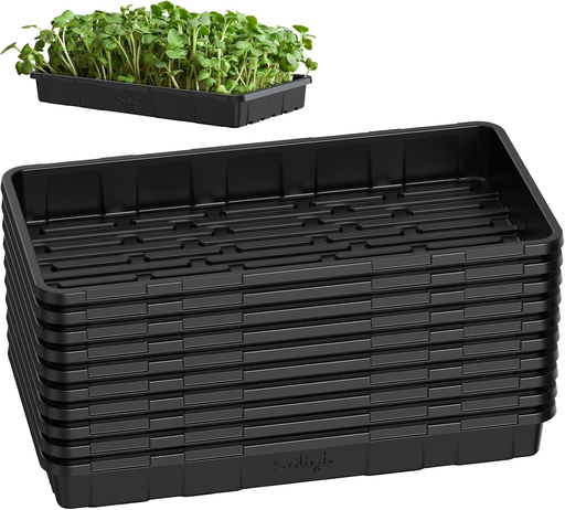 Bandejas de cultivo 10 Pcs