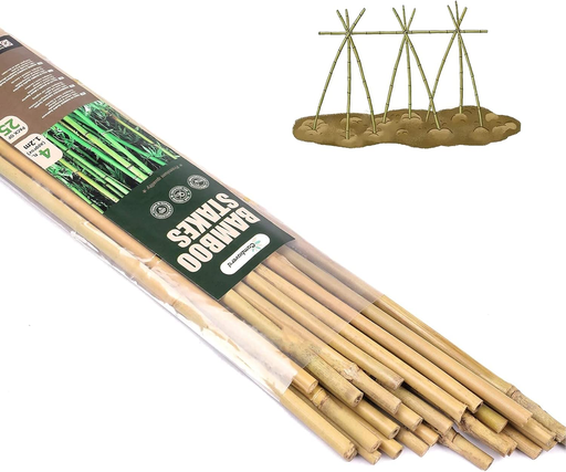 Estacas de bambu 25 Pcs