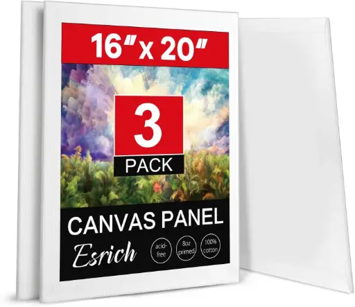 Lienzos de pintura 16"x20" 3Pcs